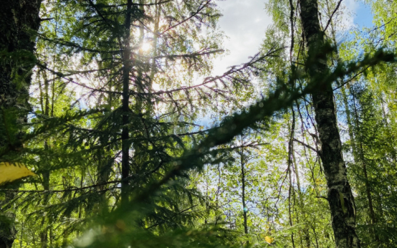    Фактор Новости