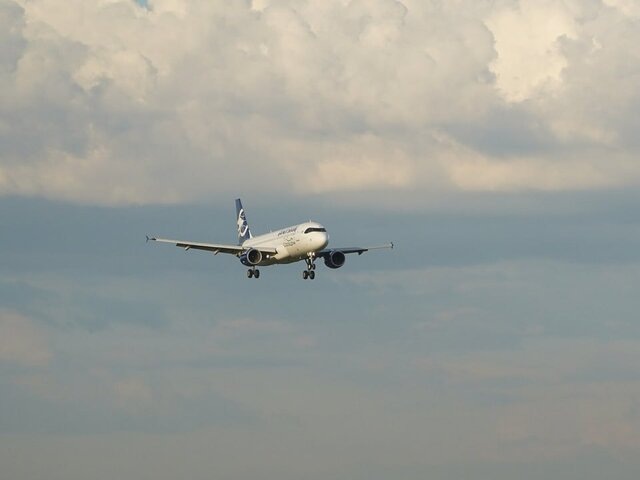    Фото: Агентство "Москва"/Пелагия Тихонова