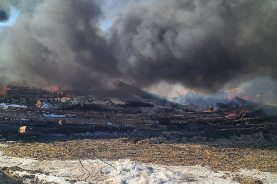 Дым от горящих туш животных над деревней Чернокурья
Фото: Наталия Нехлебова для ТД