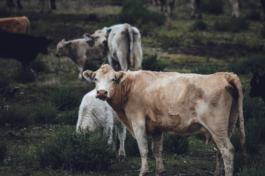 Фото: Freepik.com