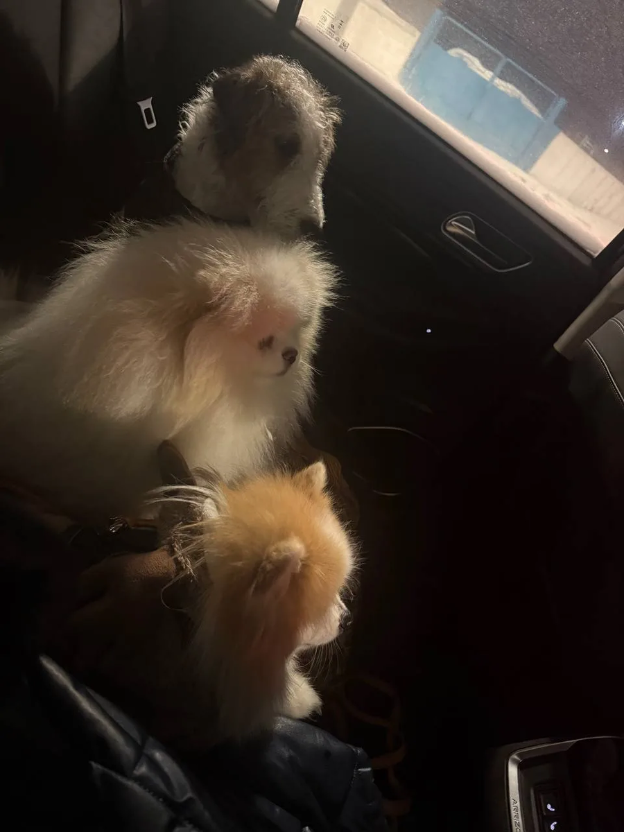 Оливер очень любит путешествия, особенно со своими друзьями!