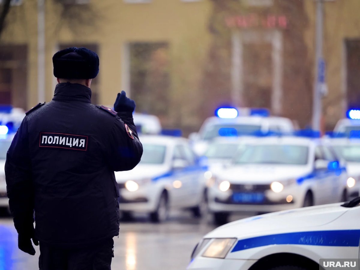    Сами полицейские явно не в восторге от идеи Плотникова