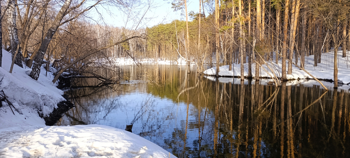 Незамерзающее озеро с уточками в Соснововом бору (Фото: Nixe (Bearna Team))
