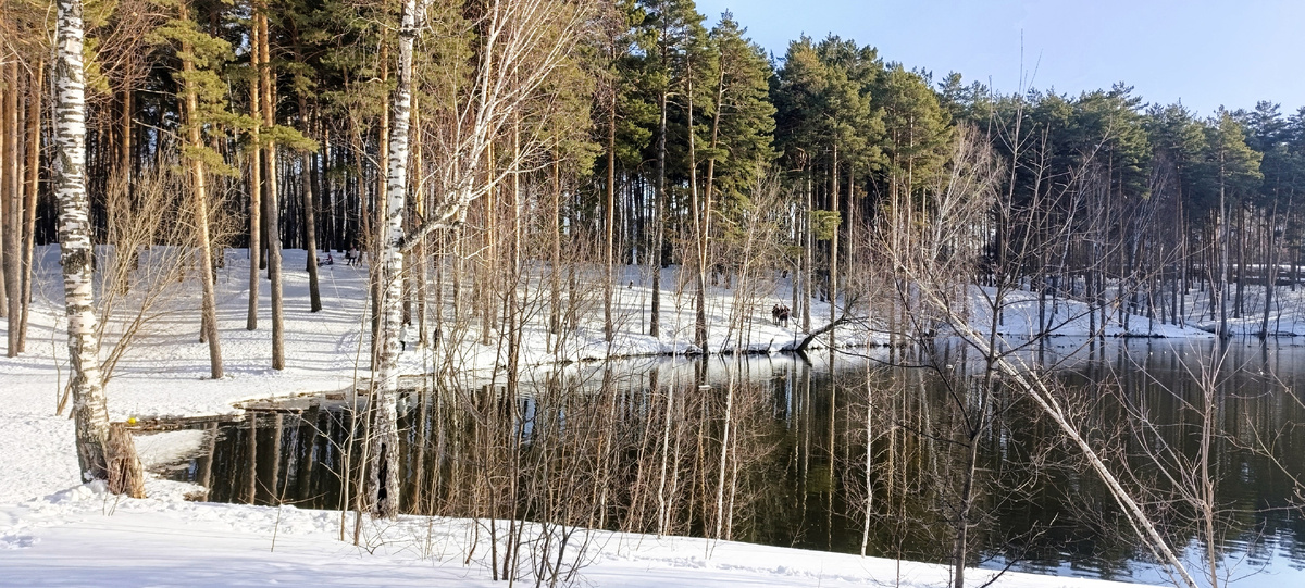 Водоем с уточками (Фото: Nixe (Bearna Team))