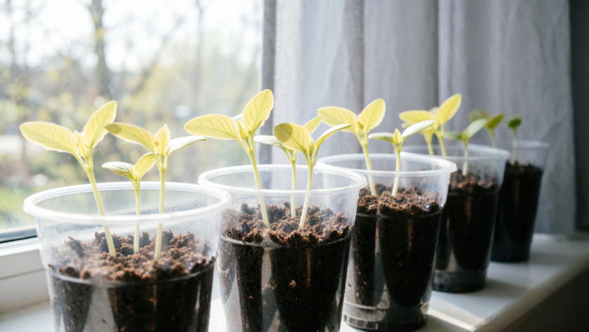    Создано нейросетями