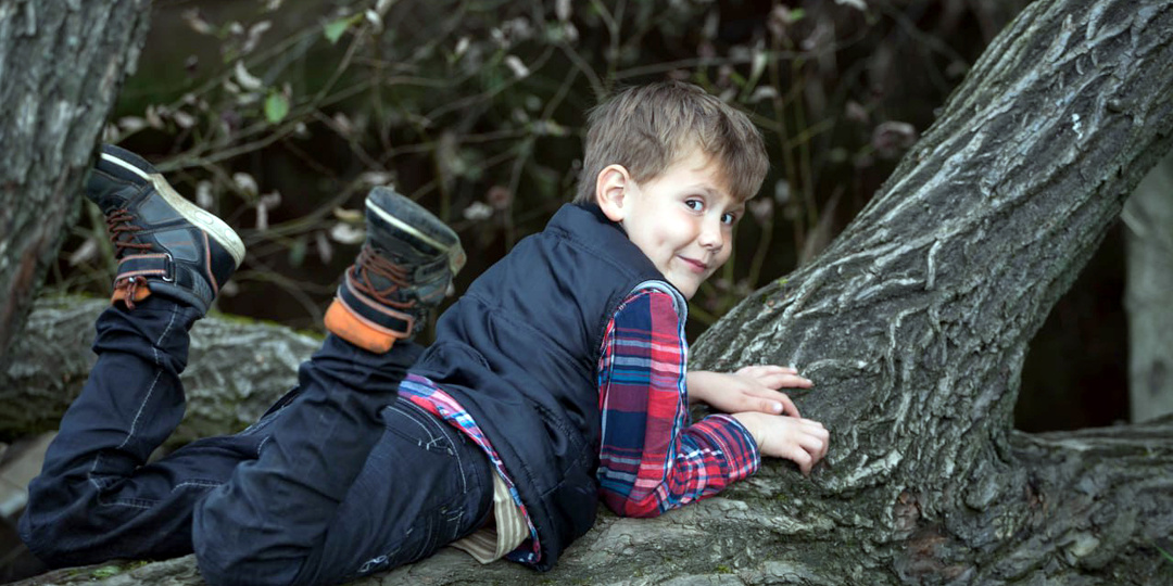 Освистать медведя