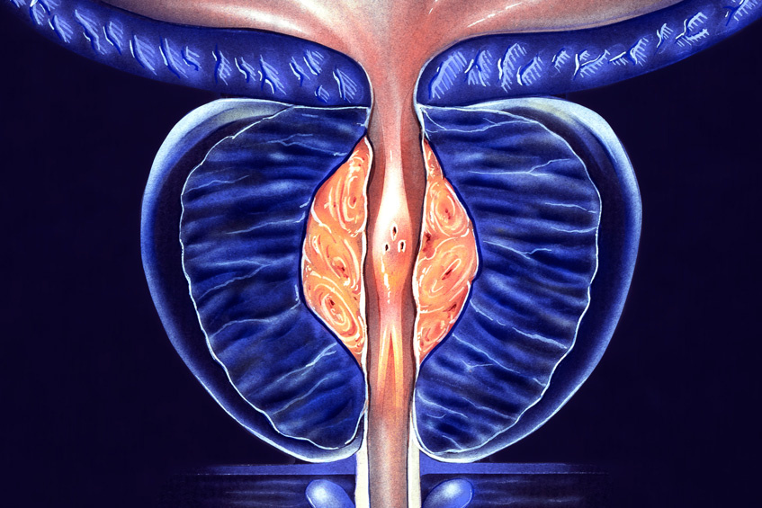 Фото: Medical Art Inc/FOTODOM/Shutterstoсk