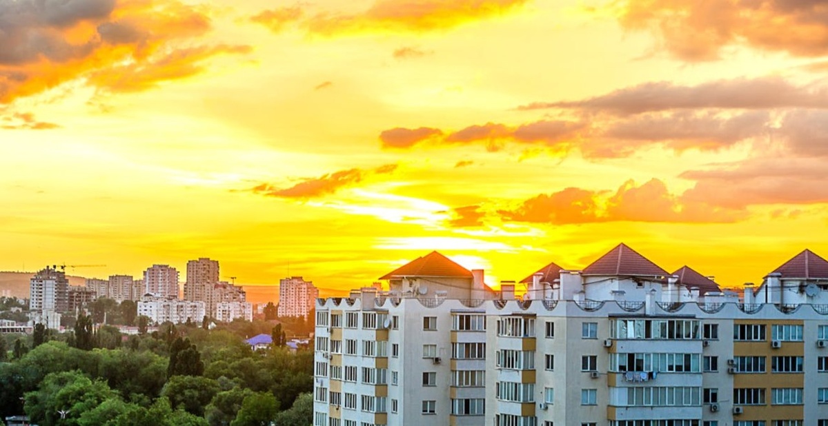    Фото: Pexels, @Nicolae Casîr