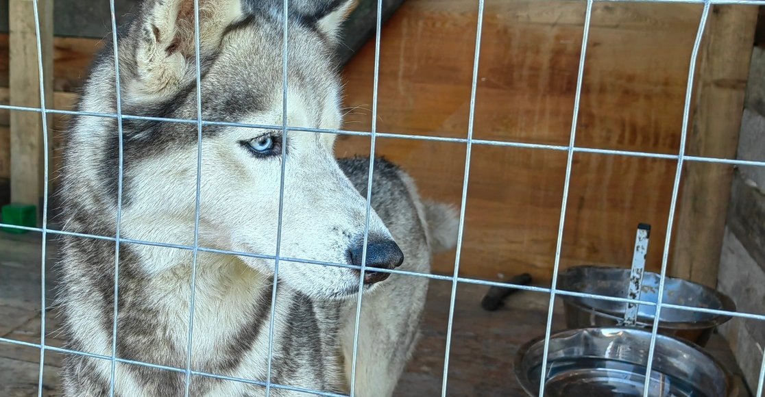    Фото: НИА "Экология"