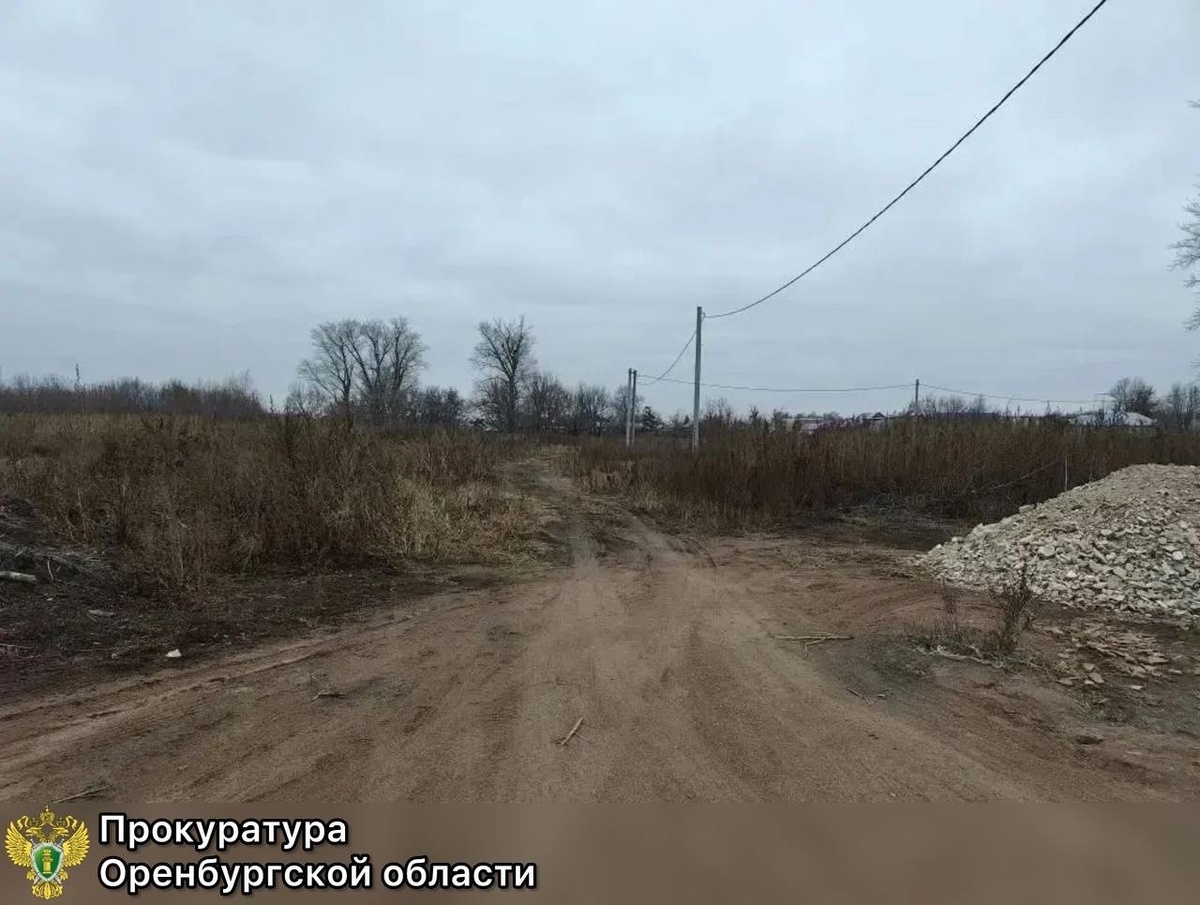    В Оренбургской области через суд обязали сделать дорогу к участку многодетной семьи
