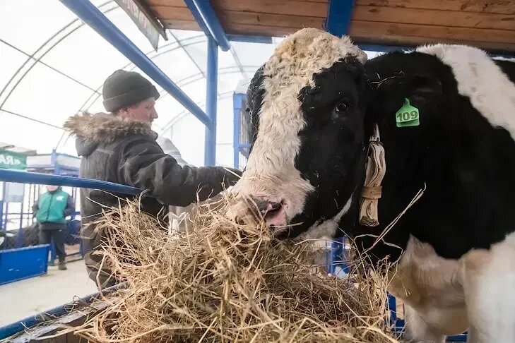    Фото Андрея Заржецкого