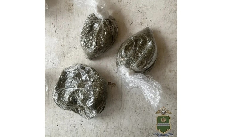    Жителя Кировского района подозревают в сбыте наркотиков.