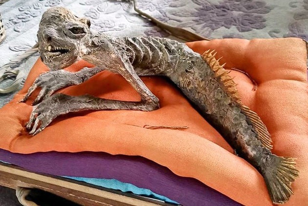    Фото © Yahoo News