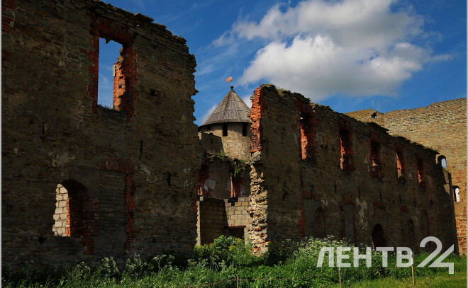    © Анастасия Илюшина / ЛенТВ24. Архивное фото