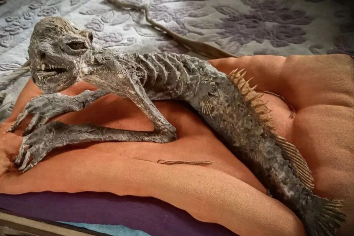     / Источник: Социальные сети