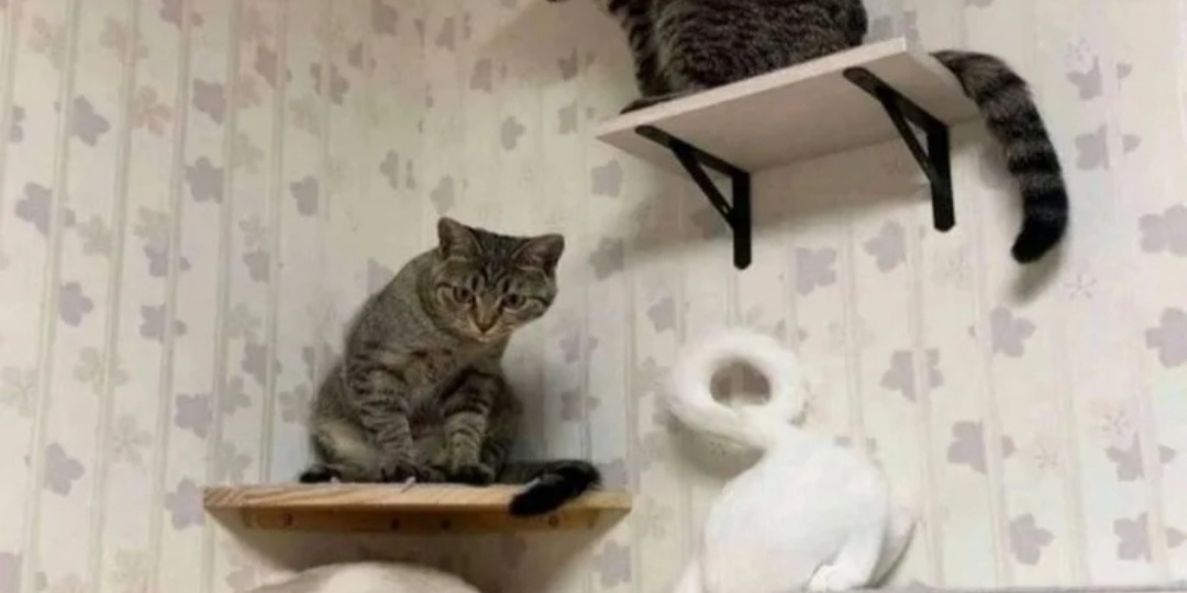 Кто успешнее по жизни ?