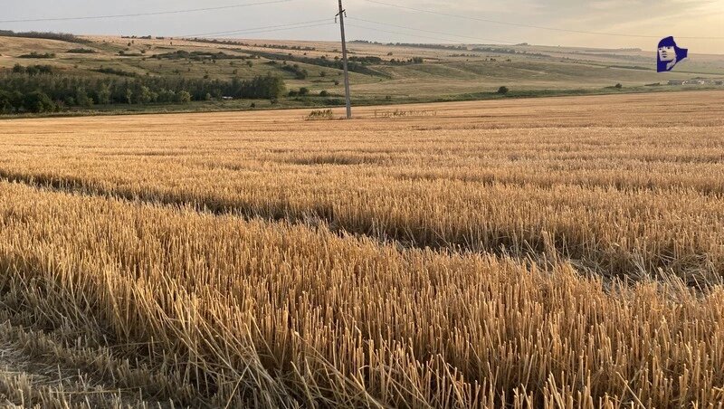      Фото: ИА «Победа26»