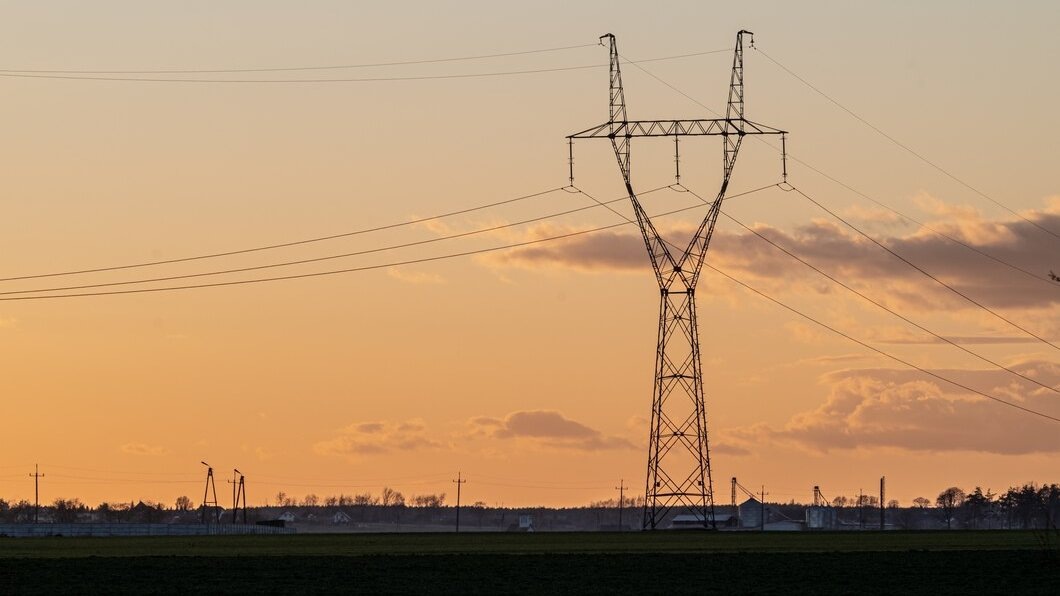    фото: wirestock / freepik.com