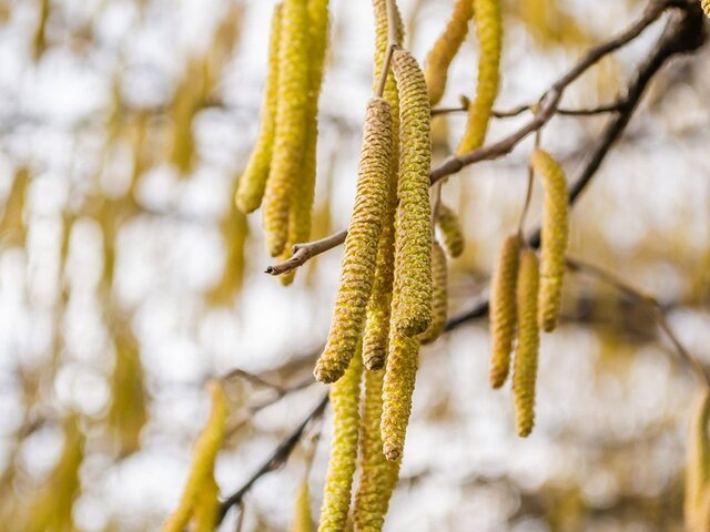    Фото: 123RF.com/caocao1211967
