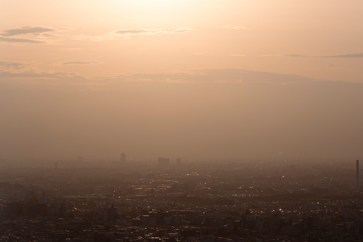    Фото: freepik / Freepik.com