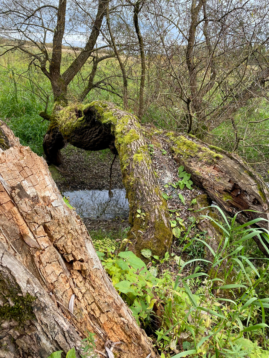 Фото из личного архива