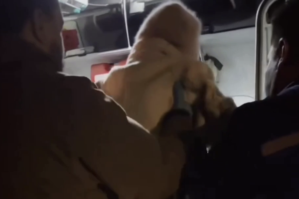 Кадр из видео/VK   📷