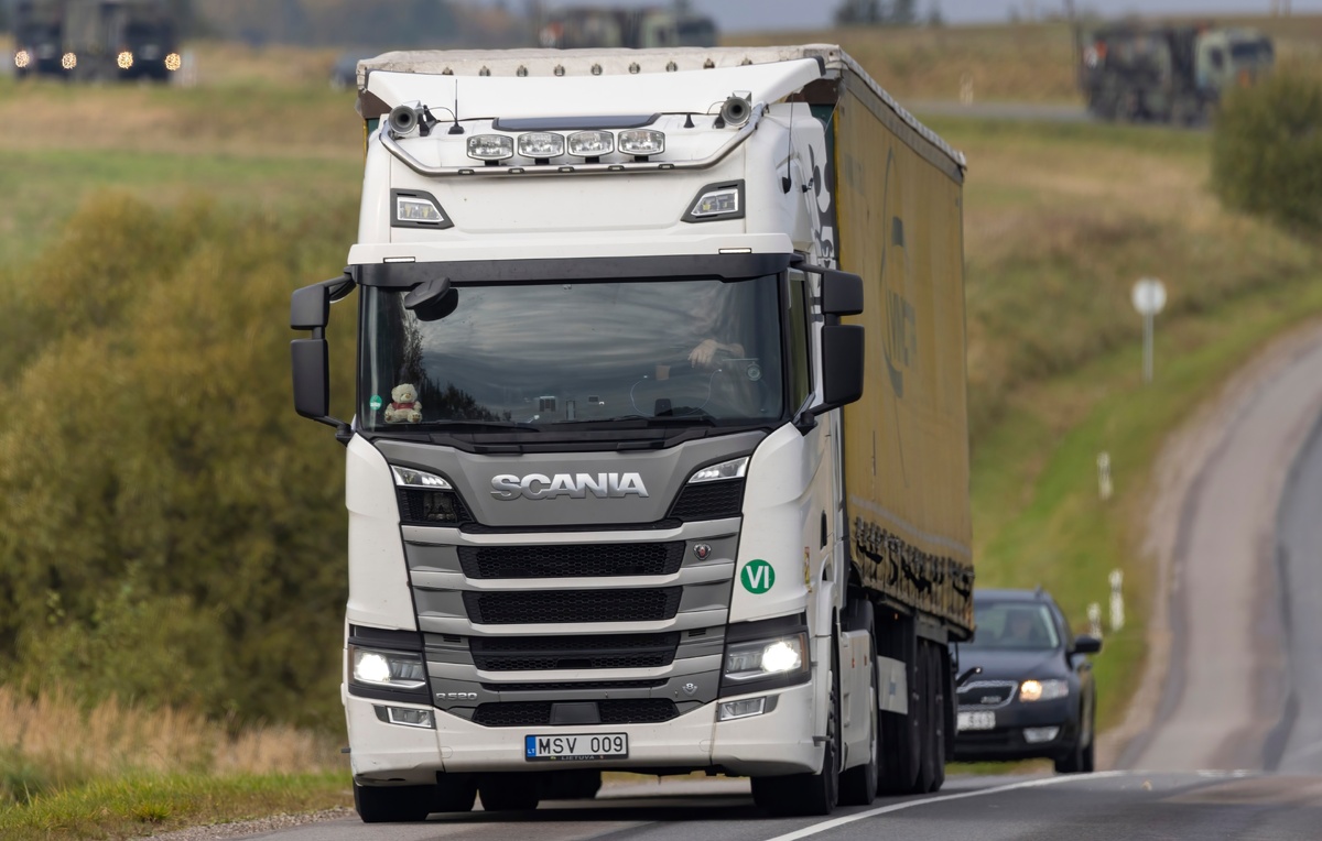 Karolis Kavolelis/Shutterstock/FOTODOM