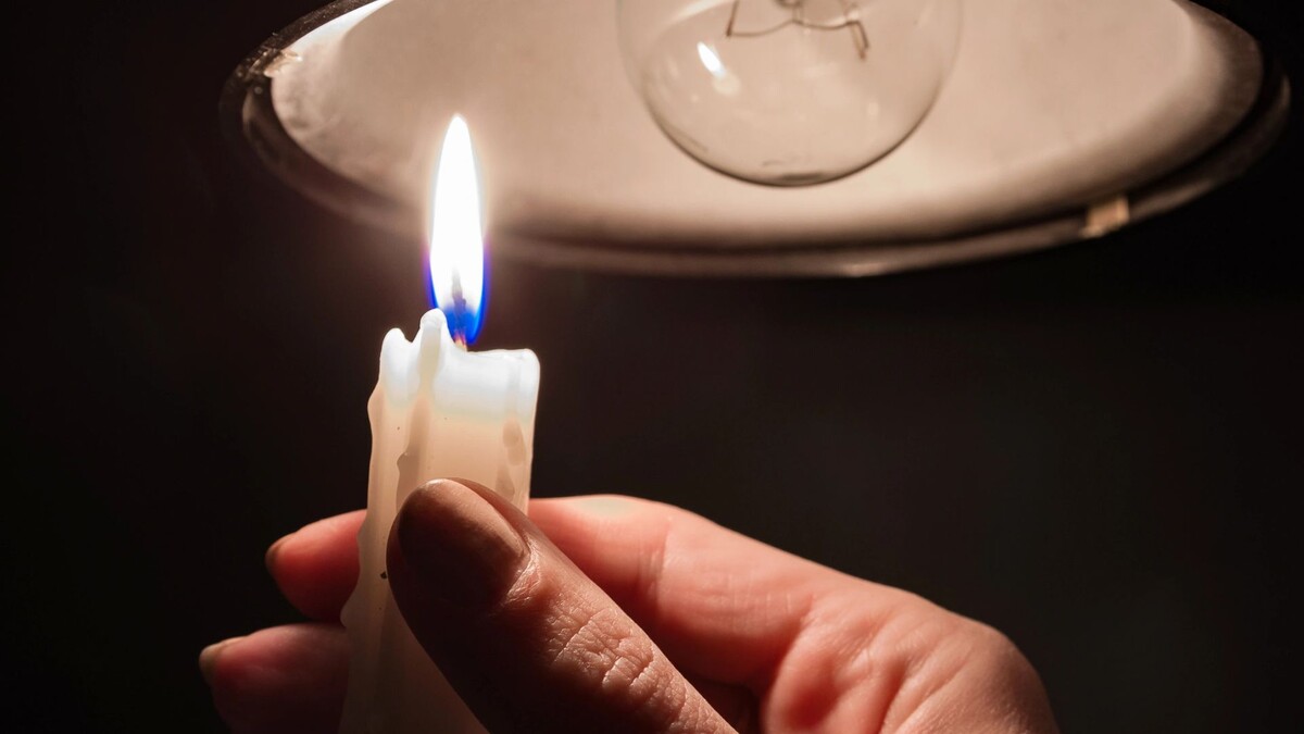    Фото: Yevhen Prozhyrko/Shutterstock/Fotodom