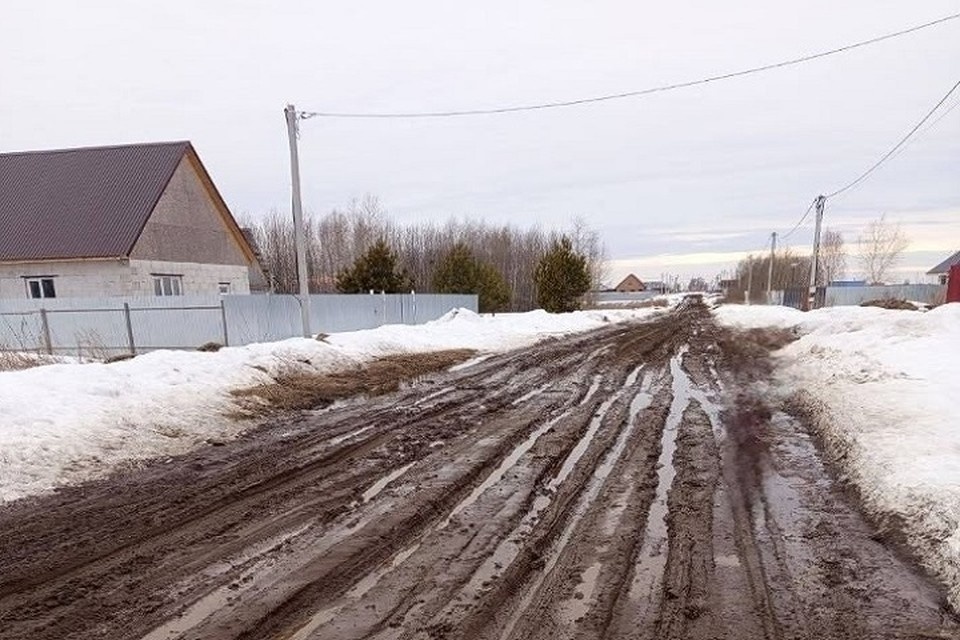    Фото: предоставил Роман Каруля vk.com/aleksandr__moor