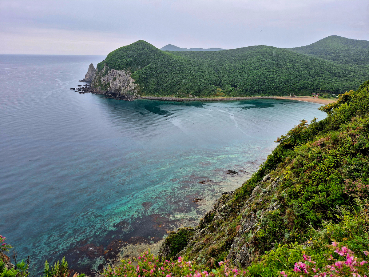 Бухта Нерпа