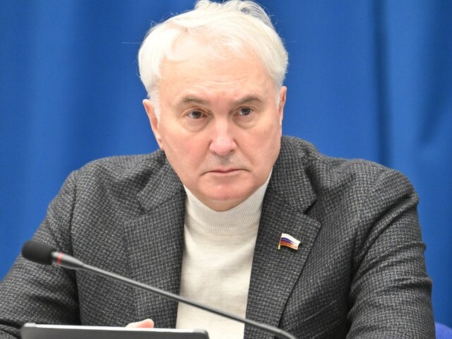    Фото: РИА Новости/Илья Питалев