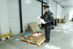    Фото: Региональный Россельхознадзор