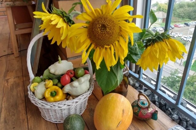    Хозяевам разрешено наводить красоту на уличной части квартиры, а не разводить хлам и грязь. Фото: АиФ/ Наталия ТИХОМИРОВА