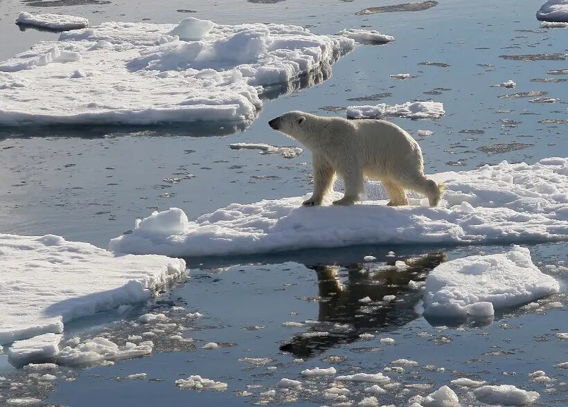     © РИА Новости. Вера Костамо