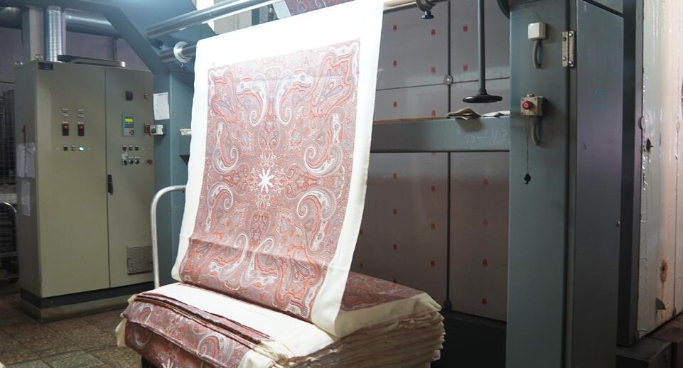    Алёна Притула