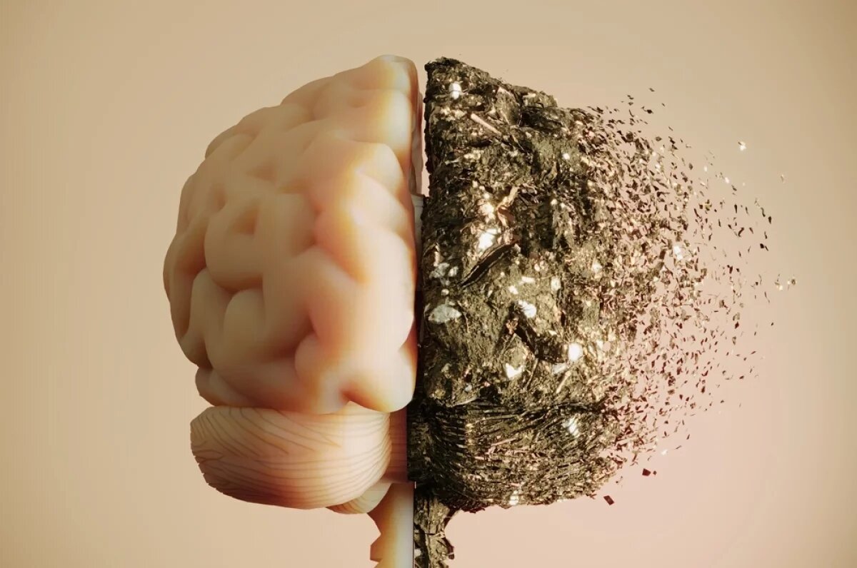    Определение возраста мозга может помочь выявлять риски деменции и принимать профилактические меры.