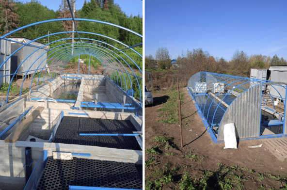 У меня датская УЗВ