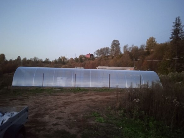 Мое хозяйство, вид сбоку