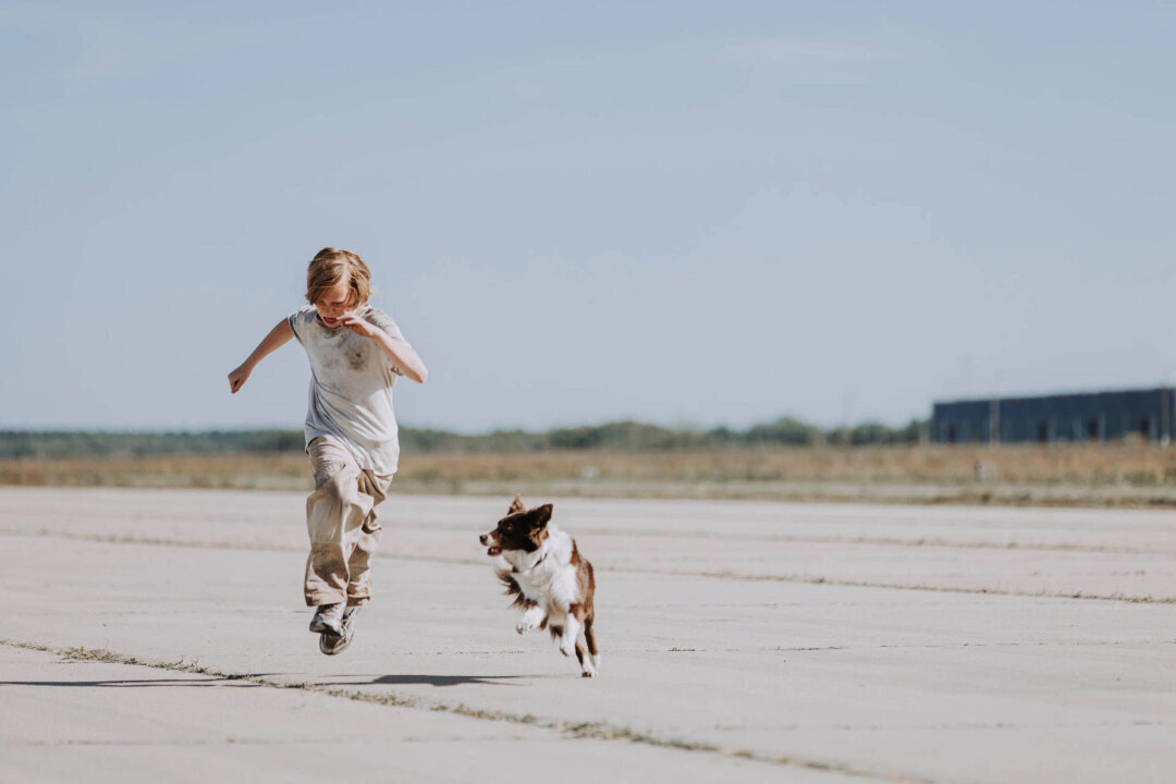    Фото: Резервная копия, Кинокомпания CTB, 2026