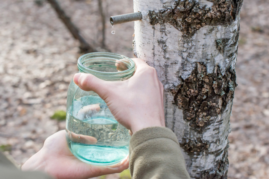    Shutterstock/FOTODOM