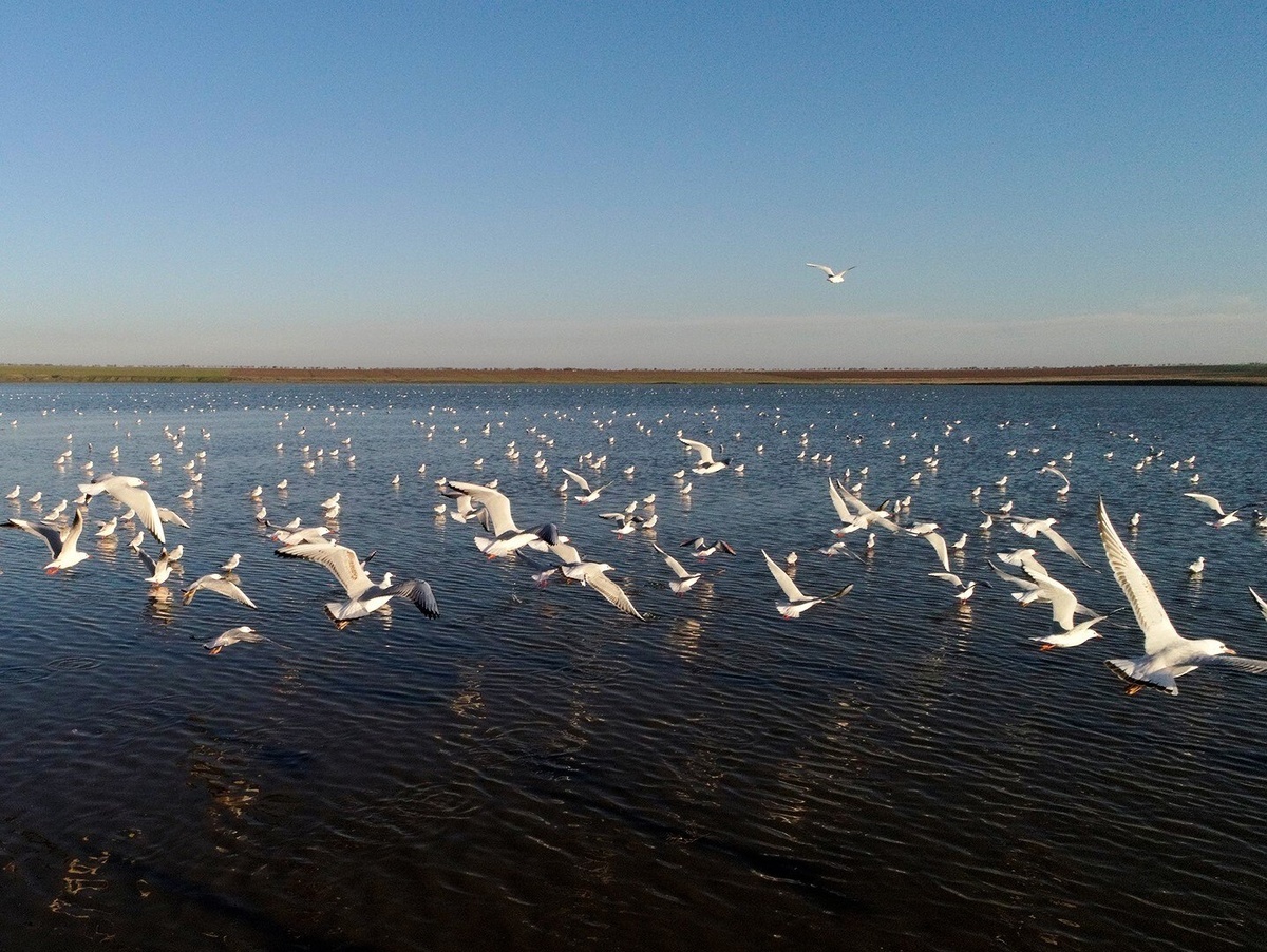    Фото: пресс-служба дирекции парков Краснодарского края