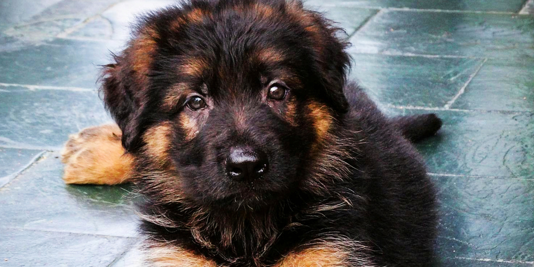 Мы же семья