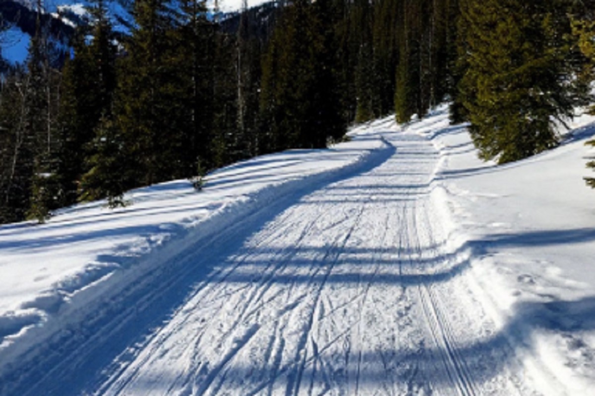    Фото: коллаж RuNews24.ru