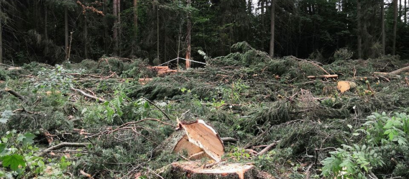    ТГ-канал "Меньше отходов Карелия"