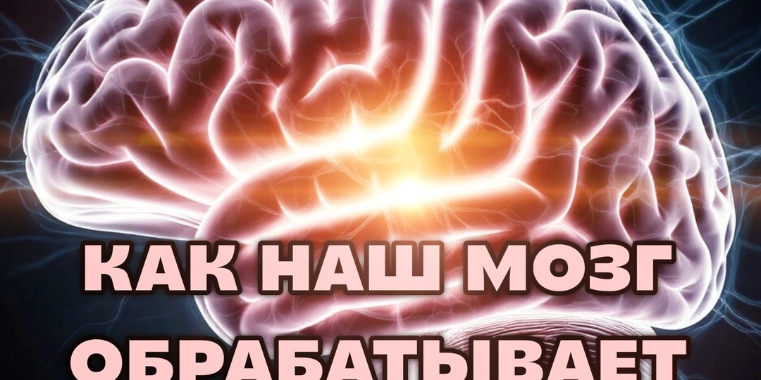 Световая диета: как еда помогает нам видеть, думать и чувствовать
