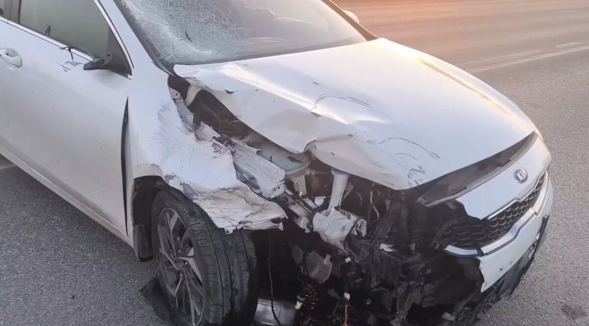 Фото: УМВД России по Курской области