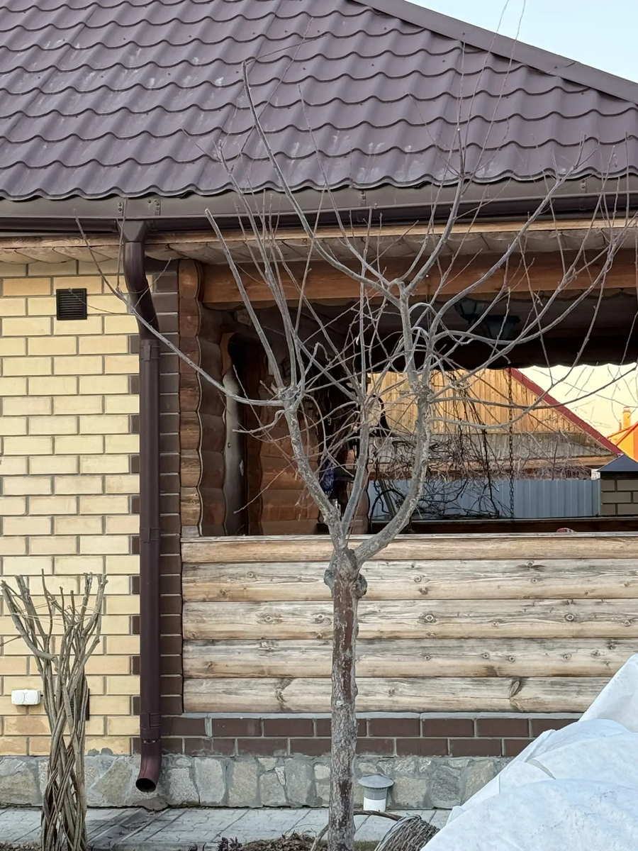 Весна 2026 до обрезки