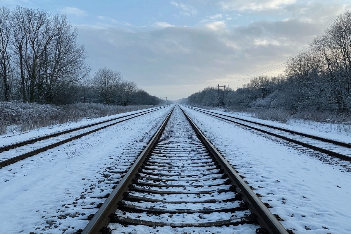    Фото: Коллаж RuNews24.ru