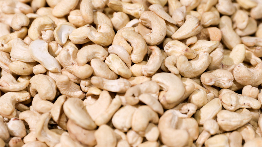    Фото: www.globallookpress.com/Bulkin Sergey