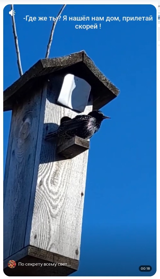 Скрин из ролика